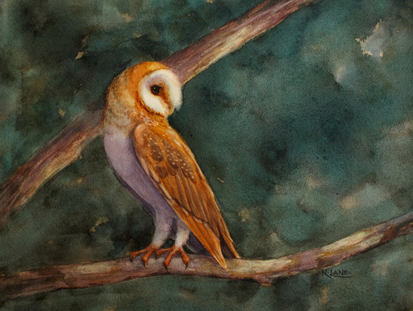 Barn Owl in Moonlight by Nancy Lane