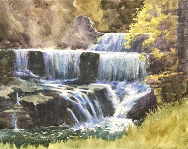 Seneca Mill Falls by Nancy Lane