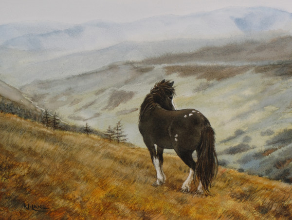 The Last Mustang by Nancy Lane