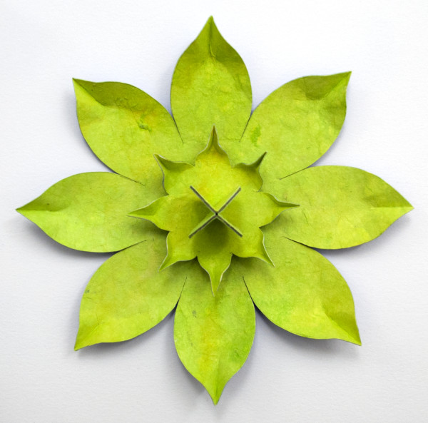 Green Lotus, from The Daily Practice by Elizabeth Addison