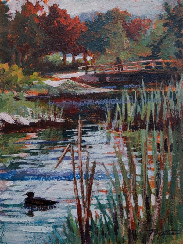 "Sechelt Marsh - duck" by Jan Poynter