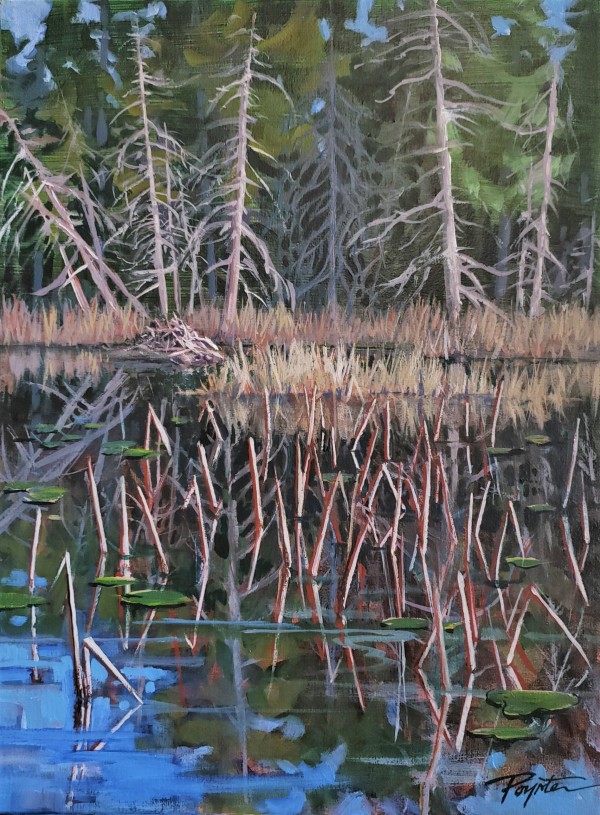 "First light - Snag / Dam" Trout Lake - Sunshine Coast B.C. by Jan Poynter
