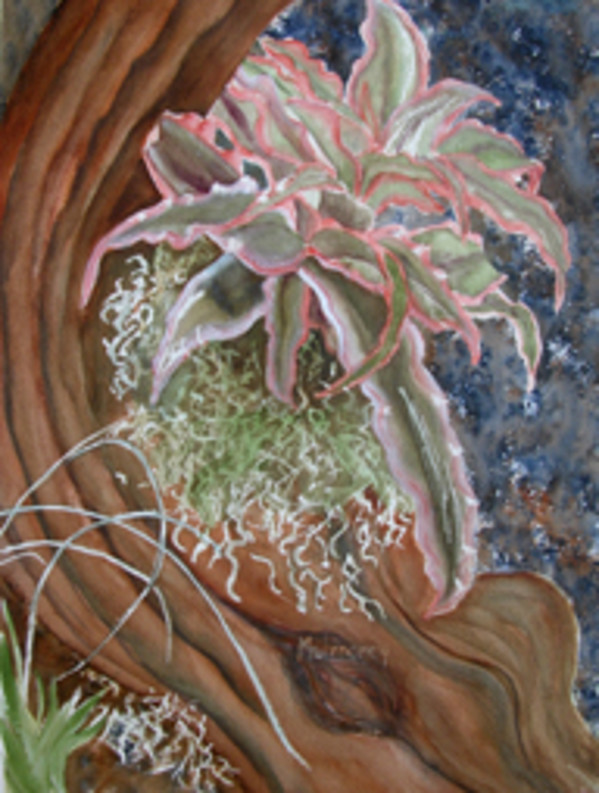 Bark and Bromeliad by Terry Arroyo Mulrooney