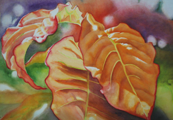 Orange Leaf Glow by Terry Arroyo Mulrooney