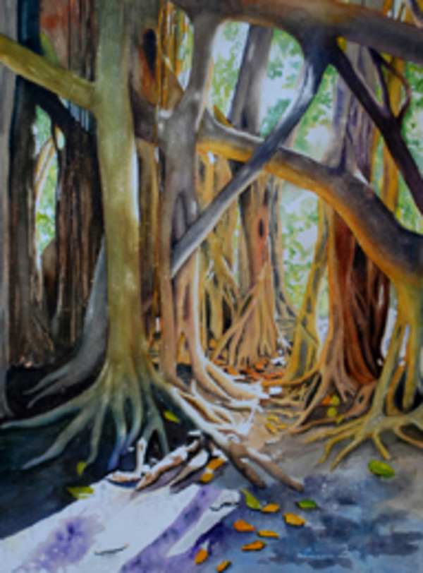 Banyan Shadows and Light by Terry Arroyo Mulrooney