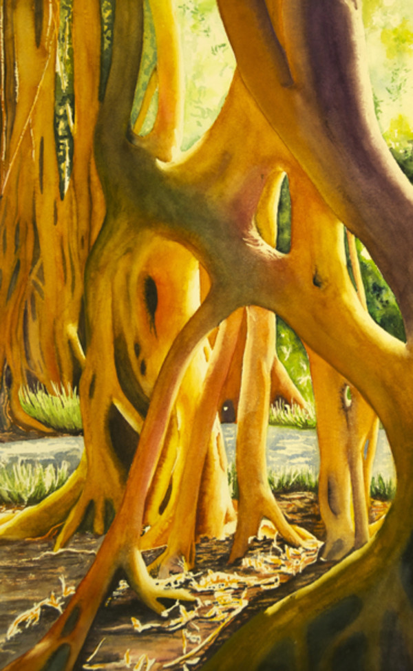 Banyan in the Park by Terry Arroyo Mulrooney