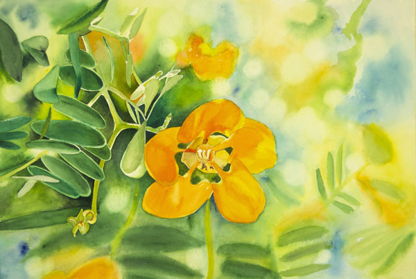 Flower in the Light by Terry Arroyo Mulrooney
