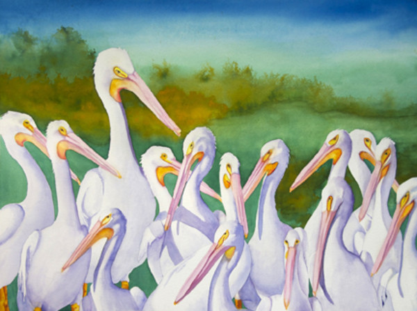 Gathering of White Pelicans by Terry Arroyo Mulrooney