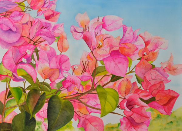 Pink Flower by Terry Arroyo Mulrooney