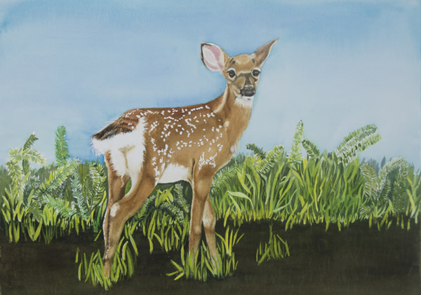 Bambi by Terry Arroyo Mulrooney