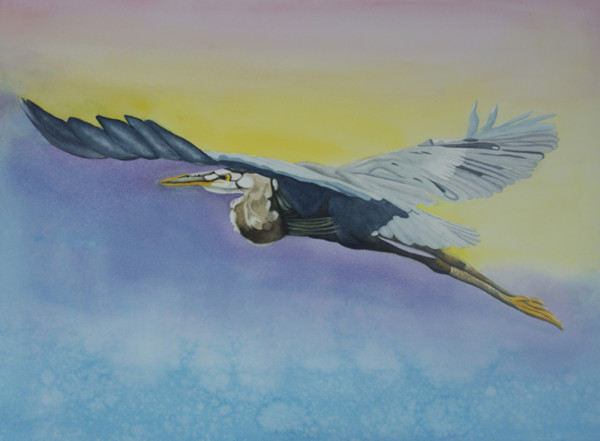 Flight of the Blue Heron