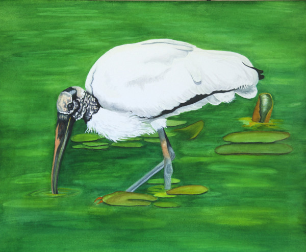 Wood Stork by Terry Arroyo Mulrooney