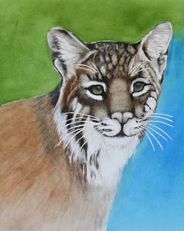 Bobcat 5 by Terry Arroyo Mulrooney