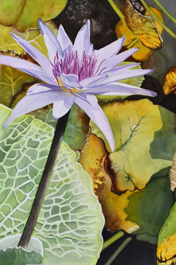 Pond Flower 4 by Terry Arroyo Mulrooney
