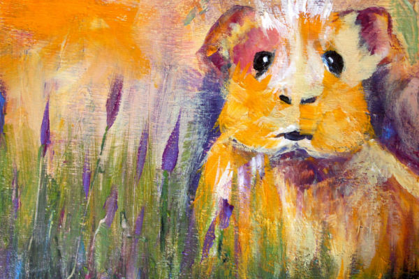 Guinea pig in the Grass by Bobbi Bjornholt