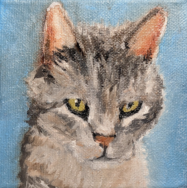 The Neighbour by Bobbi Bjornholt