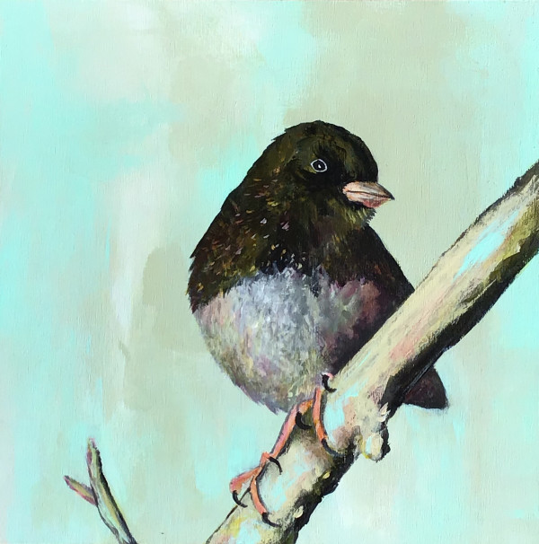 Junco by Bobbi Bjornholt