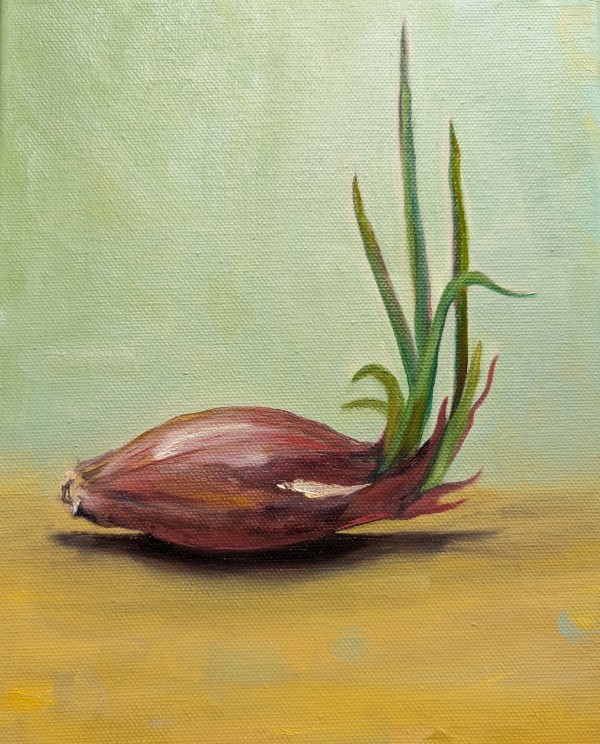Spring Shallot by Bobbi Bjornholt