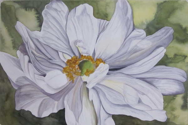 White Flower Companion by Teresa Beyer 