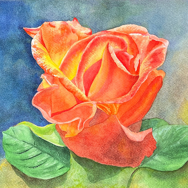 Angies Rose by Teresa Beyer