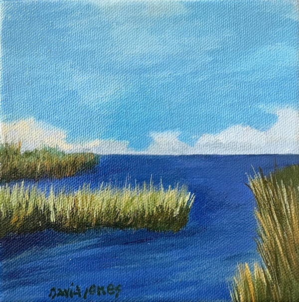 Mikey’s View by Dave Jones, Image 1.