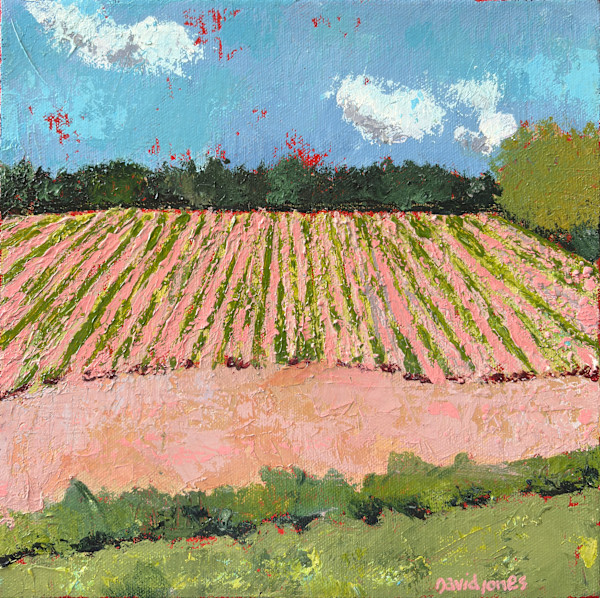 Glory Field by Dave Jones, Image 1.
