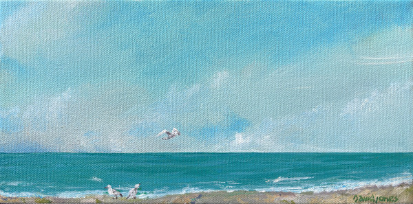 Fly Boy by Dave Jones, Image 1.