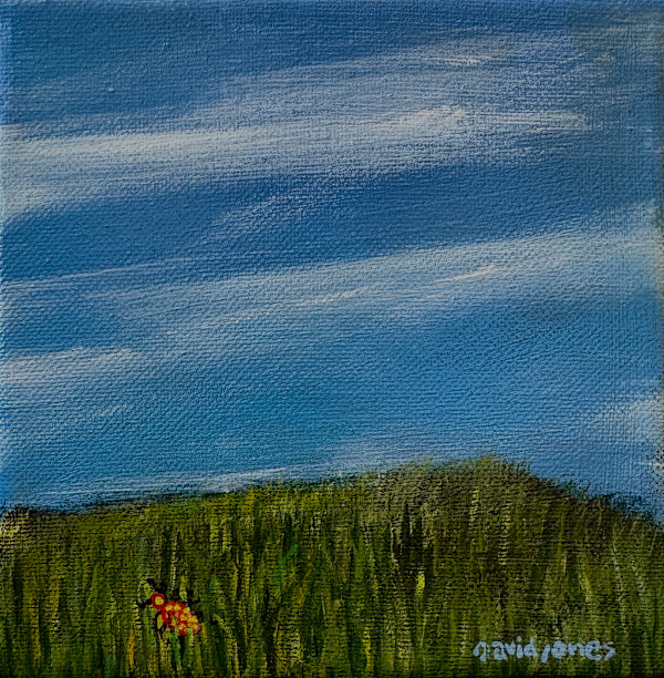 Morning Hike by Dave Jones, Image 1.