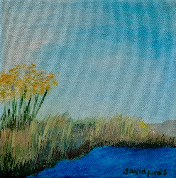 Quiet Marsh by Dave Jones, Image 1.