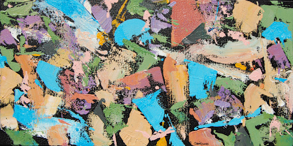 cantaloopy10x20_i15dsq_2 by Dave Jones, Image 1.