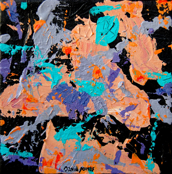 coralbay6x6_iyiw4z_10 by Dave Jones, Image 1.