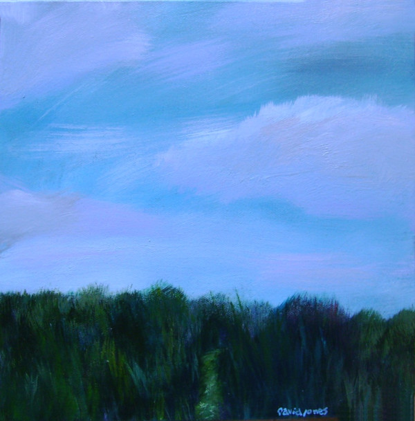 hiddenstream_pz4xsn_9 by Dave Jones, Image 1.