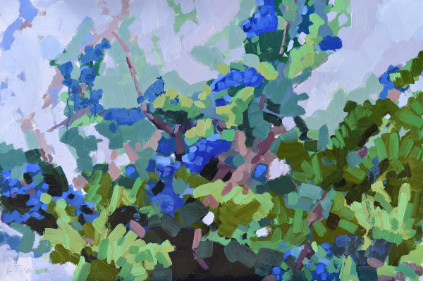 Cedar Berries by Krista Townsend 