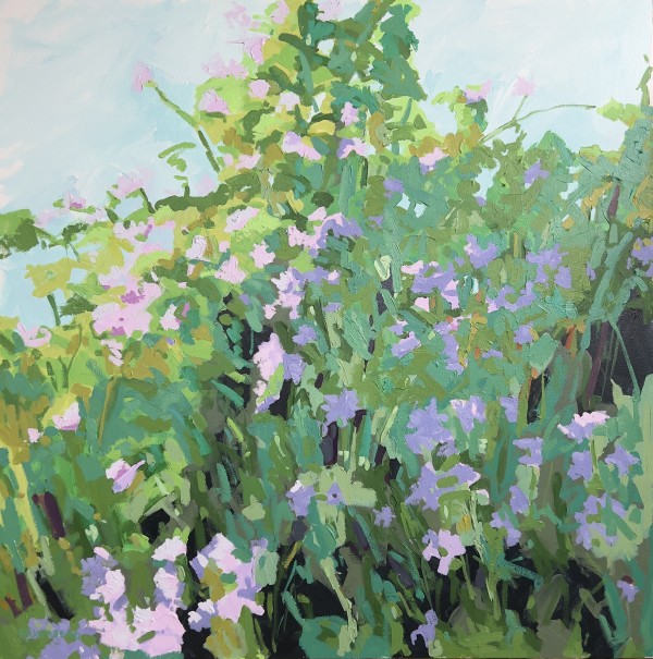 Crown Vetch