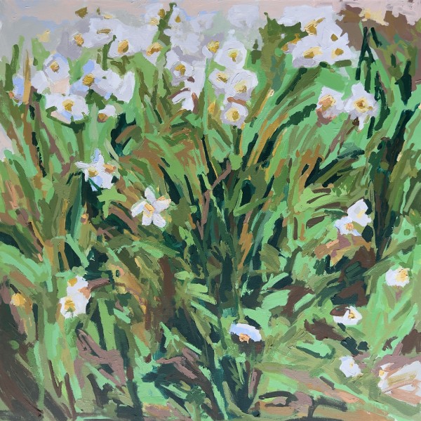 Daffodils by Krista Townsend