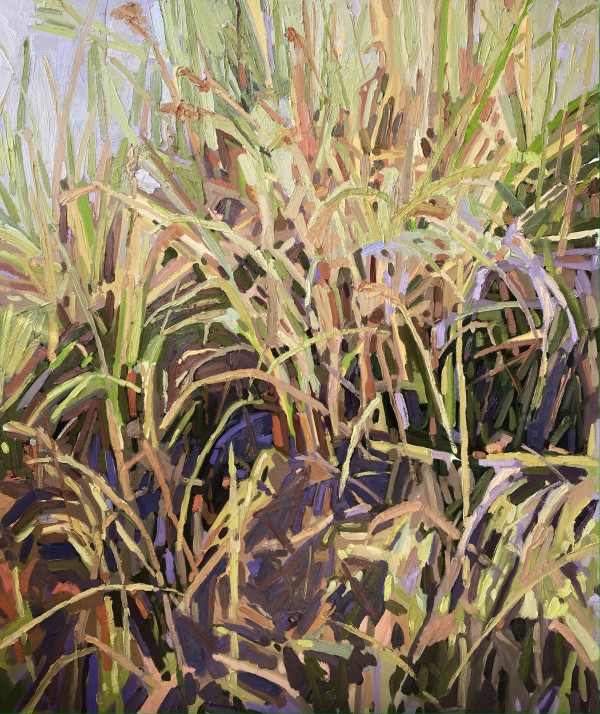 Grasses by Krista Townsend 