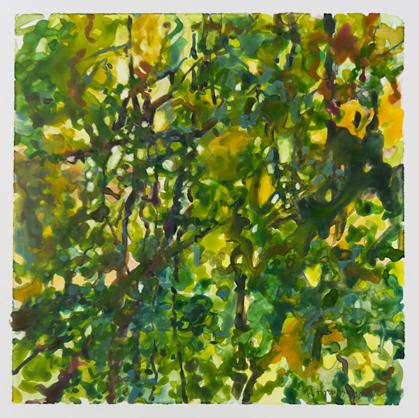 Camouflage (study) by Krista Townsend