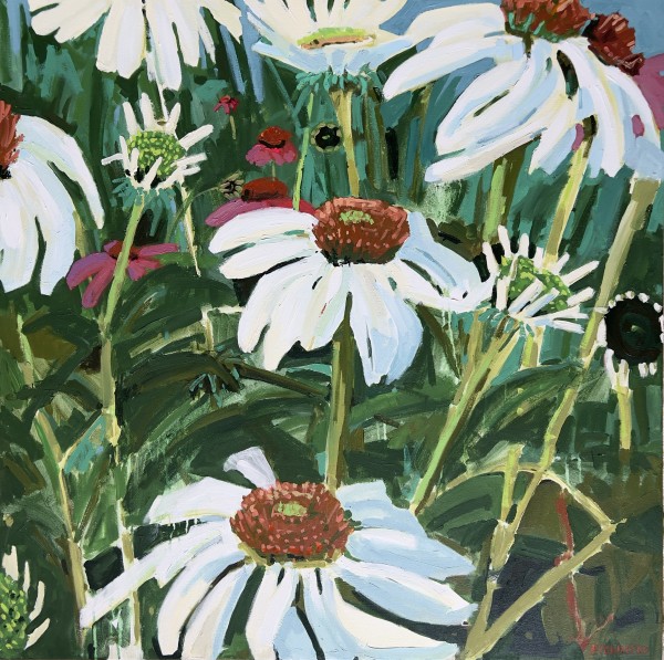White and Pink Echinacea by Krista Townsend