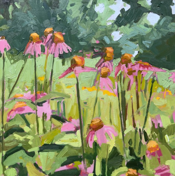 Pink Echinacea Near Woods by Krista Townsend 
