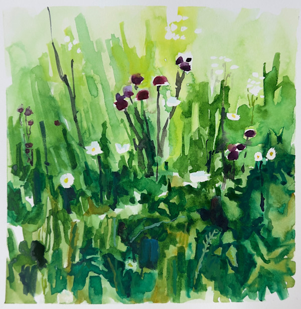 Wildflowers (study) by Krista Townsend