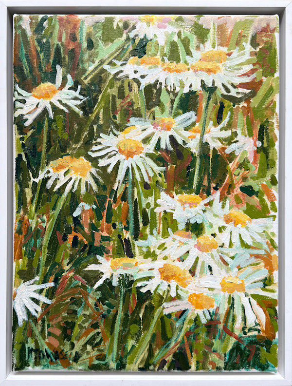 Daisy Study 2 by Krista Townsend, Image 1.