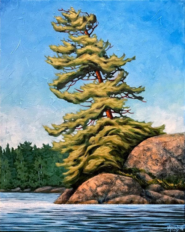 Leaning Pine by Melissa Jean