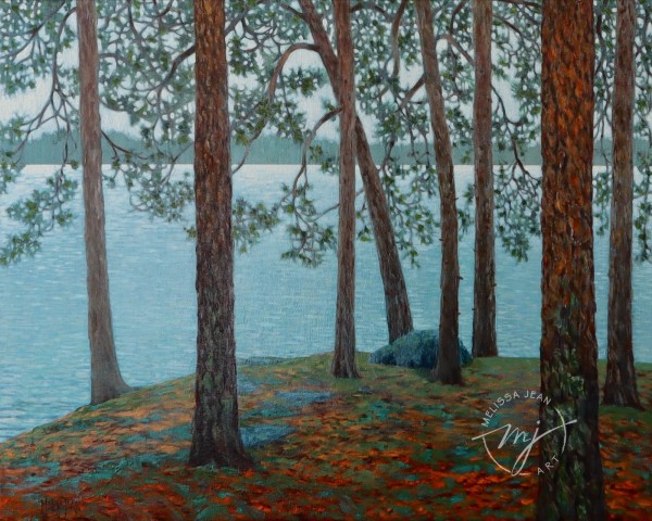Rain, Lake of the Woods by Melissa Jean