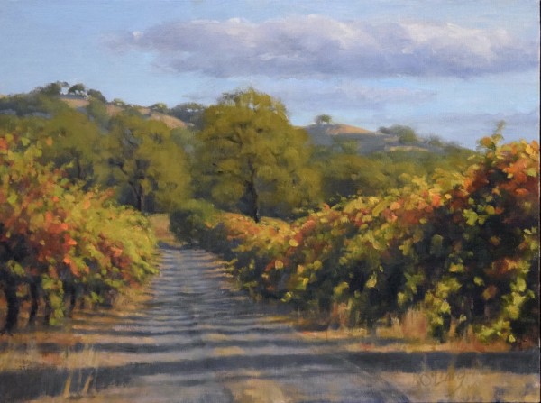 Afternoon Light In The Vineyard by Kathy O'Leary