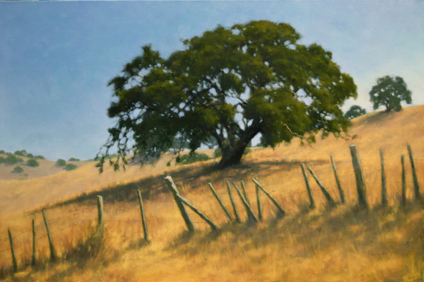 Old Ranch Fence and Oaks by Kathy O'Leary