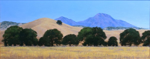 Summer Fields Below Mount Diablo by Kathy O'Leary