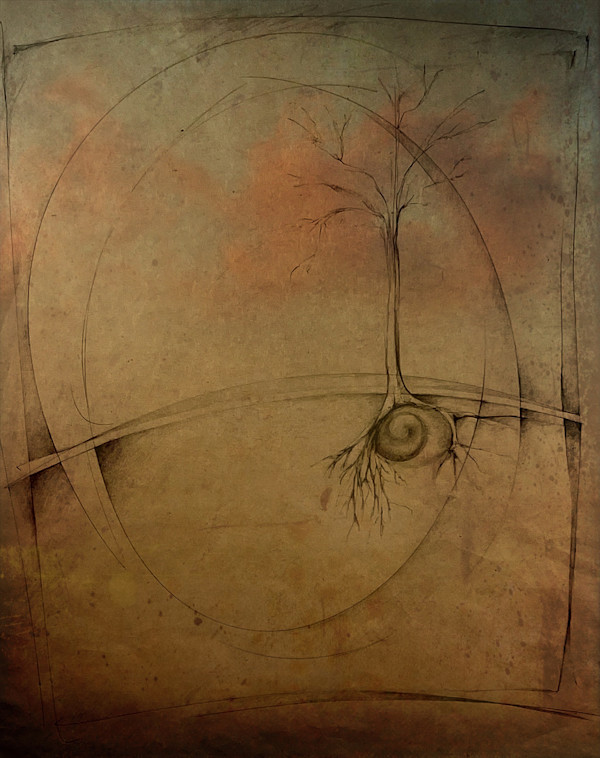 Autumn Light by Carol L Myers