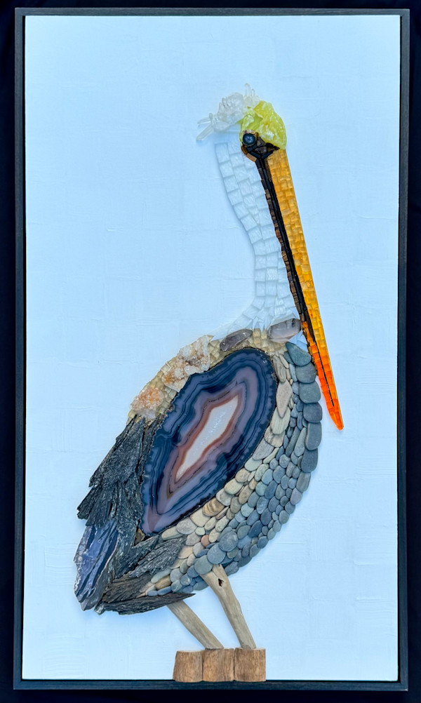 Brown Pelican by Donna Hoyack