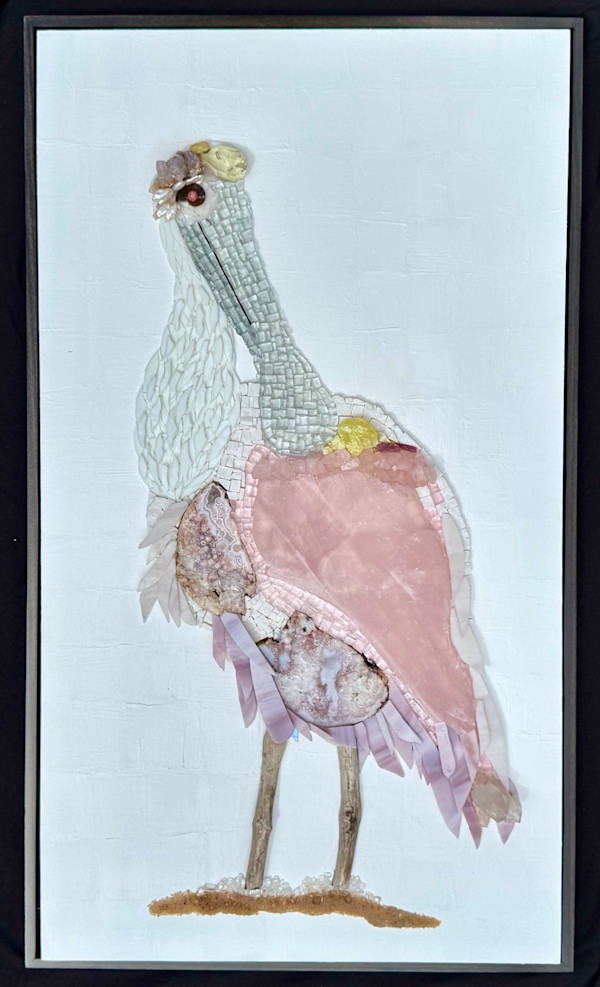 Roseate Spoonbill by Donna Hoyack