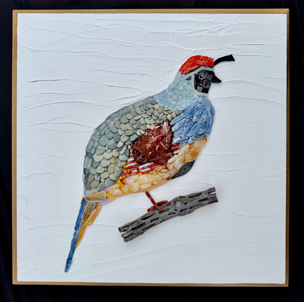 Gambel Quail by Donna Hoyack